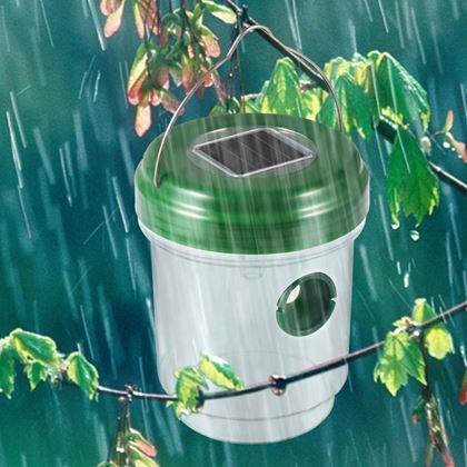 Imaginea din Lapător solar de insecte
