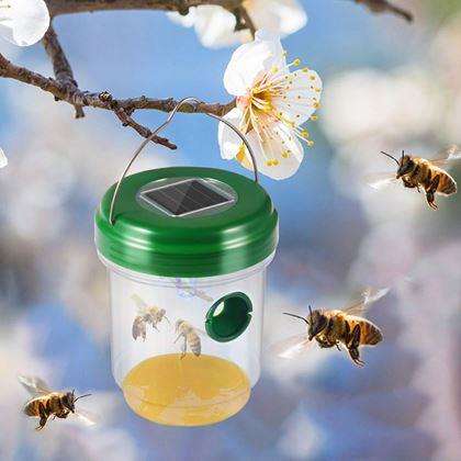 Imaginea din Lapător solar de insecte