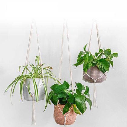 Imaginea din Macrame atârnat pentru un ghiveci de flori - crem