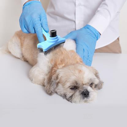 Imaginea Perie de periat cu autocurățare pentru păr/blană