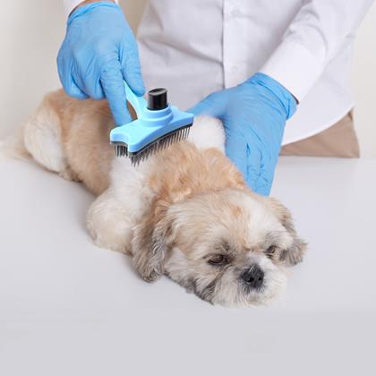 Imaginea din Perie de periat cu autocurățare pentru păr/blană