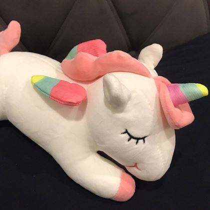Imaginea din Plyšul Unicorn