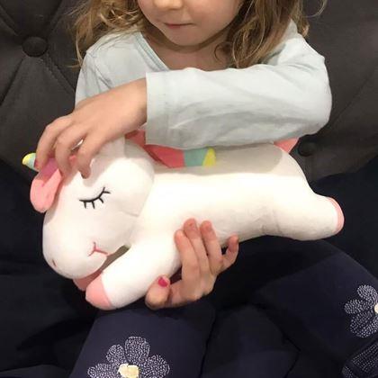 Imaginea din Plyšul Unicorn