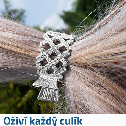 Imaginea Clamă decorativă pentru coadă de păr