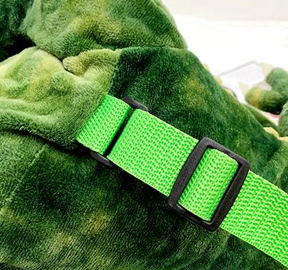 Imaginea din Rucsac dinozaur