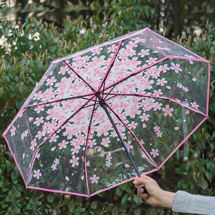 Imaginea din Umbrelă transparentă - flori