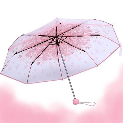 Imaginea din Umbrelă transparentă - flori