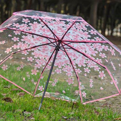 Imaginea din Umbrelă transparentă - flori