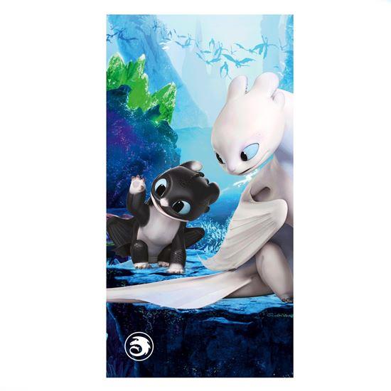 Imaginea din Prosop de baie pentru copii 70x140 cm - Cum să îți dresezi dragonul