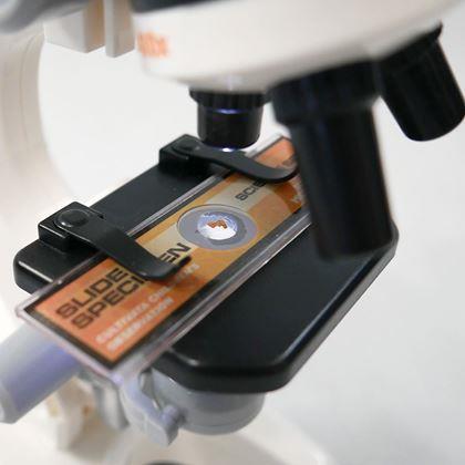 Imaginea din Microscop educațional pentru copii, set cu ustensile