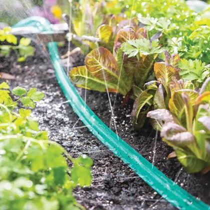 Imaginea din Furtun de grădină pentru irigare 7,5 m
