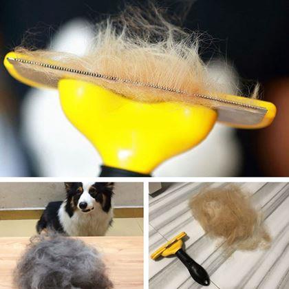 Imaginea din Pieptene pentru blană pentru câini și pisici