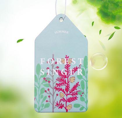 Imaginea din Aromă pentru mașină - portocală