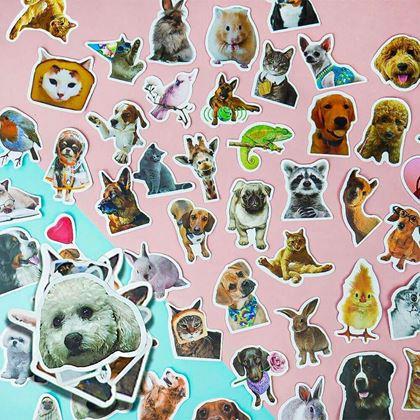 Imaginea din Autocolante animale 50 buc