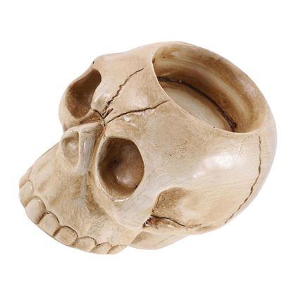 Imaginea din Suport de lumanare tealight - craniu