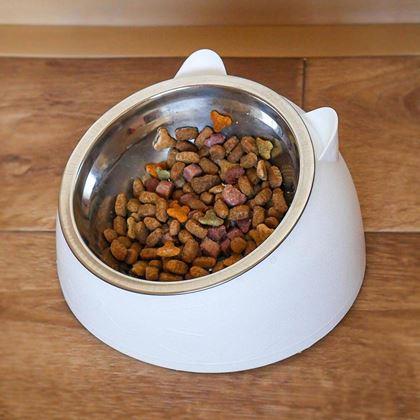 Imaginea din Castron 2 în 1 pentru pisici