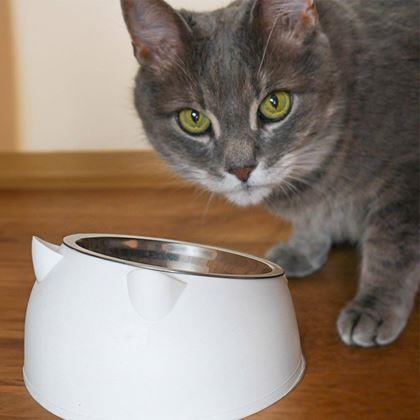 Imaginea din Castron 2 în 1 pentru pisici