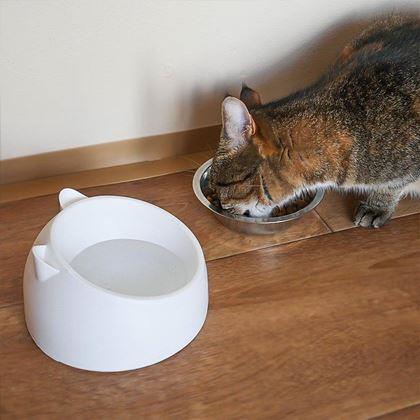 Imaginea din Castron 2 în 1 pentru pisici