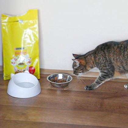 Imaginea din Castron 2 în 1 pentru pisici