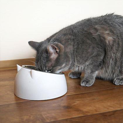 Imaginea din Castron 2 în 1 pentru pisici