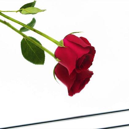 Imaginea din Plăci de oglindă autoadezive 20x20 cm, 4 bucăți