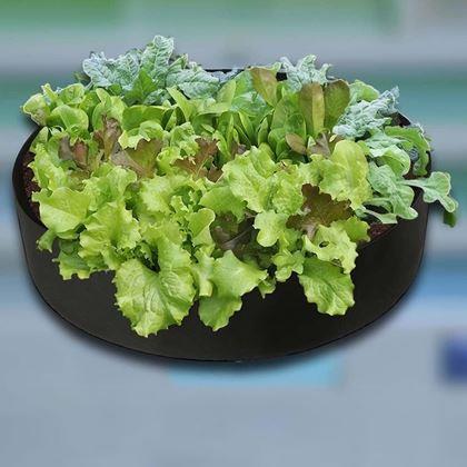 Imaginea din Strat textil 140 l, 80 x 30 cm