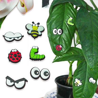 Imaginea Magnete pentru plante ochi 6 bucăți