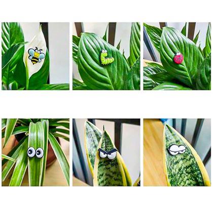 Imaginea din Magnete pentru plante ochi 6 bucăți