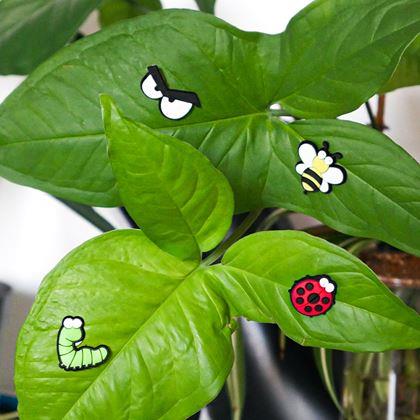 Imaginea din Magnete pentru plante ochi 6 bucăți