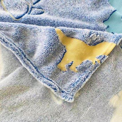 Imaginea din Pătură luminoasă  -  dinozaur