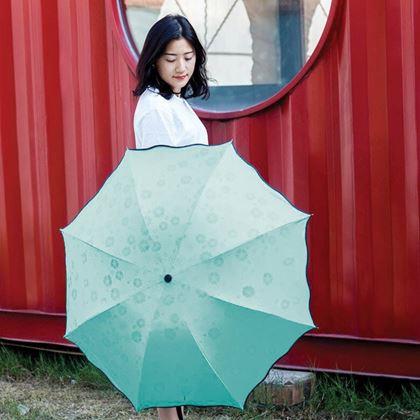 Imaginea din Umbrelă magică - roz -  mentolată