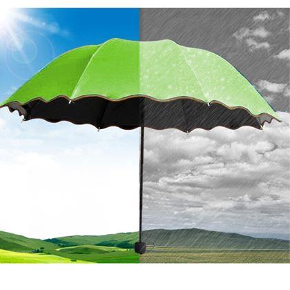 Imaginea din Umbrelă magică - roz -  limetă