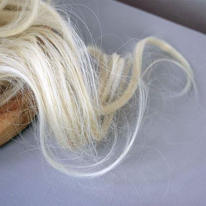 Imaginea din Coafură coc păr  -  blond