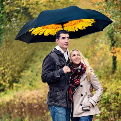 Imaginea Umbrelă cu închidere inversă 