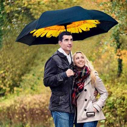 Imaginea din Umbrelă cu închidere inversă  -  floarea soarelui