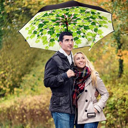 Imaginea din Umbrelă cu închidere inversă  -  frunze