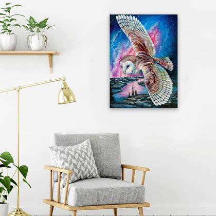 Imaginea din Pictură cu diamante  - Bufniță de hambar