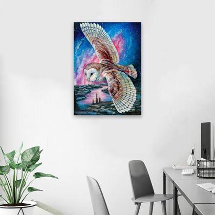 Imaginea din Pictură cu diamante  - Bufniță de hambar