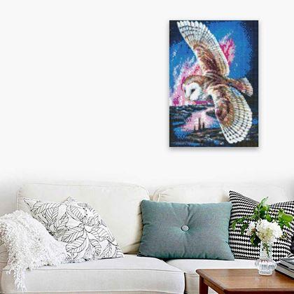 Imaginea din Pictură cu diamante  - Bufniță de hambar