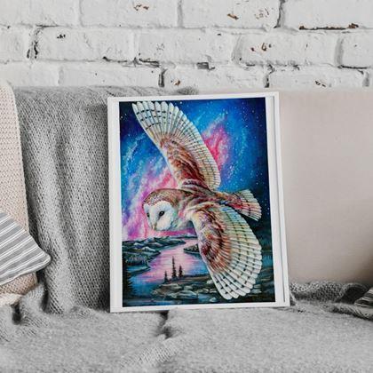 Imaginea din Pictură cu diamante  - Bufniță de hambar