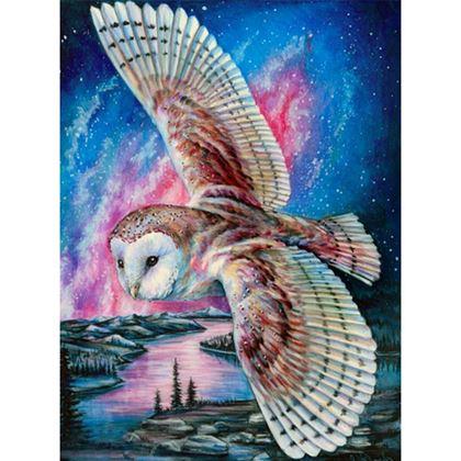 Imaginea din Pictură cu diamante  - Bufniță de hambar