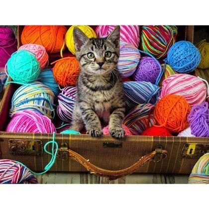 Imaginea din Pictură cu diamante  -  pisoi