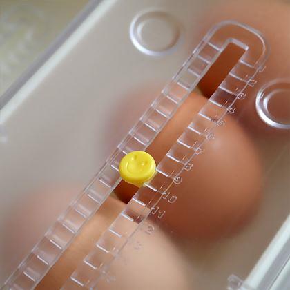 Imaginea din Organizator gravitațional pentru ouă