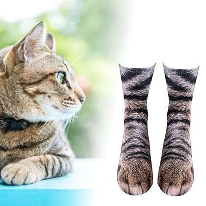 Imaginea din Ciorapi pentru animale