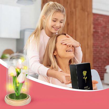 Imaginea Lalele luminoase în cupolă de sticlă