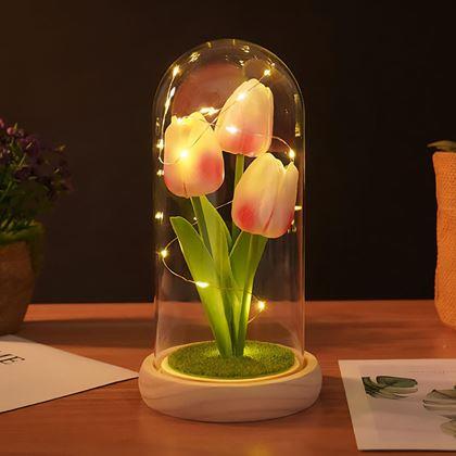 Imaginea din Lalele luminoase în cupolă de sticlă