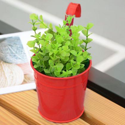 Imaginea din Vază suspendată pentru balcon  -  roșie
