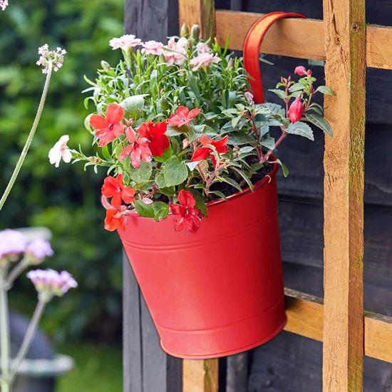Imaginea din Vază suspendată pentru balcon  -  roșie