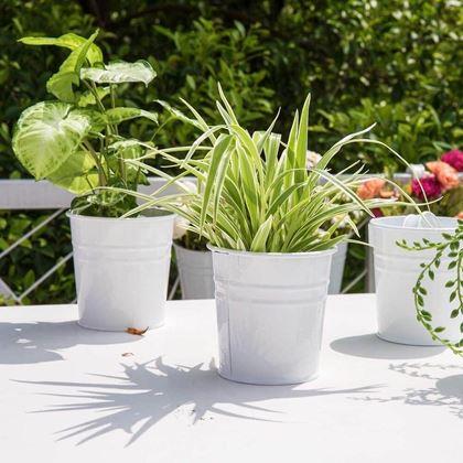 Imaginea din Vază suspendată pentru balcon  -  alb