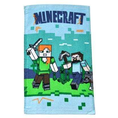 Imaginea Un prosop mic - Minecraft Monsters